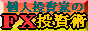 個人投資家のFX投資術